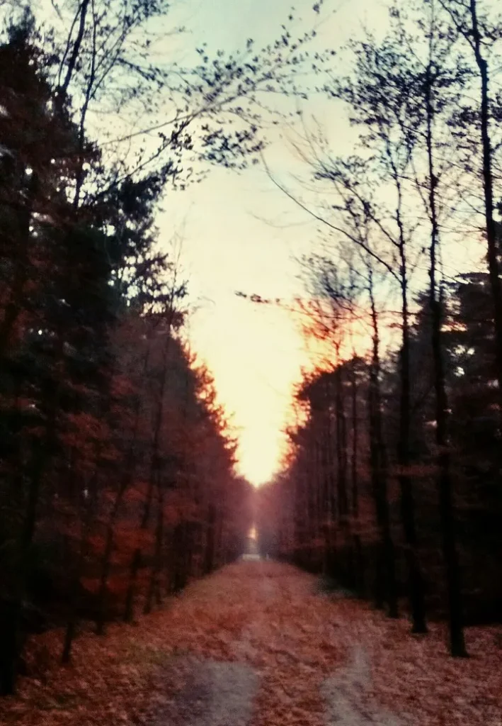 BIO-ENERGETISCH WANDELEN